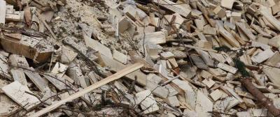 Wood Pellet Biomass Boilers