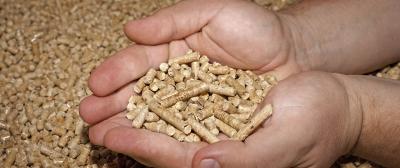 Solid Fuel Boilers Explained